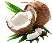 Coconut Products